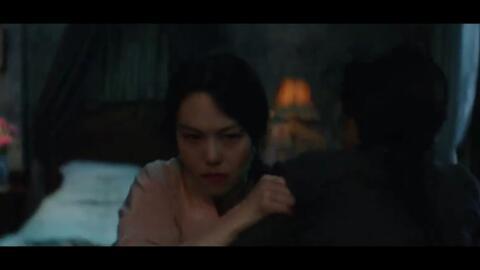 小姐电影在线观看,一场跨越身份与欲望的惊心动魄之旅